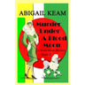 Murder Under A Blood Moon: A 1930s Mona Moon Historical Cozy Mystery