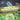 Unicellular and Multicellular Organisms Comparing Life Processes Biology Book Science Grade 7 Children's Biology Books