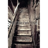 Spirits of The Olde Park Hotel