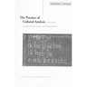The Practice of Cultural Analysis: Exposing Interdisciplinary Interpretation