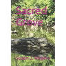 Sacred Grove