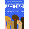 Abolitionist Socialist Feminism: Radicalizing the Next Revolution