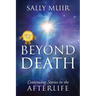Beyond Death: Continuing Stories in the Afterlife