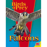 Falcons