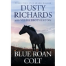Blue Roan Colt