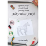 Abby Wize: Awa