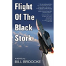 Flight of the Black Stork