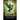 Jade Hummingbird: The Art of Education the Heart