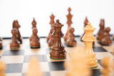 Championship Chess Pieces with Storage Board by Chess House