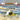 Happy Ever After: A Pandemic Tale