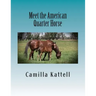 Meet the American Quarter Horse