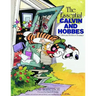 The Essential Calvin and Hobbes: A Calvin and Hobbes Treasury