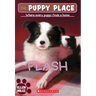 Flash (the Puppy Place #6)