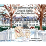 The Adventures of Chip and Salsa: Meet Me at the Inn
