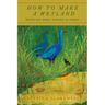 How to Make a Wetland: Water and Moral Ecology in Turkey