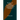 The Master of Appleby; A Novel Tale Concerning Itself in Part with the Great Struggle in the Two Carolinas; but Chiefly with the Adventures Therein of
