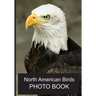 North American Birds Photo Book: 40 Different Bird Photos With Identification Names For Alzheimer & Dementia Patients To Help With Memories and Memory