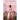 A Duke In The Rough: A Regency Era Romance