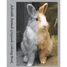 Adorable Animals Grayscale Coloring Book: Stunning Grayscale Images, (Perfect For Beginners And Animal Lovers)