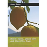 How To Grow A Lemon Tree And Other Citrus Fruits