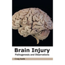 Brain Injury: Pathogenesis and Observations