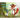 Fox and Duck