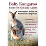 Baby Kangaroo Facts for Kids and Adults