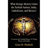 What Strange Mystery Unites the Turkish Nations, India, Catholicism, and Mexico?: A Concise But Detailed History of Things Divine and Earthly