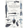 Fly Fishing - Flies; How to Make Them and Which Ones to Use Depending on Fish and Time of Year