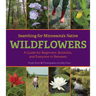 Searching for Minnesota's Native Wildflowers: A Guide for Beginners, Botanists, and Everyone in Between