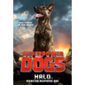 Superpower Dogs: Halo