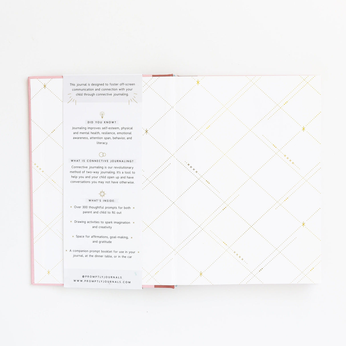 Our Parent + Child Connection Journal: Spark Creativity, Start Conversations (Blush Pink) by Promptly Journals