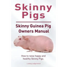 Skinny Pig. Skinny Guinea Pigs Owners Manual. How to raise happy and healthy Skinny Pigs.