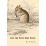 Joey the Motor Home Mouse