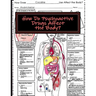How Do Psychoactive Drugs Affect the Body?: Understanding How Drugs Affect the Synapse and Body Organs