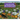 A Place for Butterflies