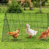 Chicken Tunnels, 118.1 x 28 x 24.2 inch (LxWxH) Chicken Tunnels for Yard, Portable Chicken Tunnels for Outside Easy Installation, Chicken Coop Run, Suitable for Chickens, Ducks, Rabbits