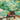The Resting Tree