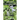 Upon a Slender Stalk