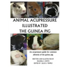 Animal Acupressure Illustration The Guinea Pig
