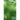 The Energy-based Dimension: Introduced on the Example of the Fifth Dimension