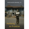 Pathway to Promise