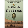 A Visible Darkness