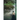 The Forgotten Garden