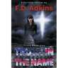 Truth in The Name: A Political Thriller