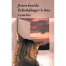 from inside Schrödinger's box