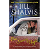 One Snowy Night: A Heartbreaker Bay Christmas Novella