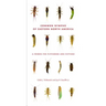Common Nymphs of Eastern North America: A Primer for Flyfishers and Flytiers