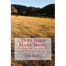 Does Jesus Make Sense?: A Layman's Perspective on God Incarnate