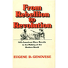 From Rebellion to Revolution: Afro-American Slave Revolts in the Making of the Modern World (Revised)